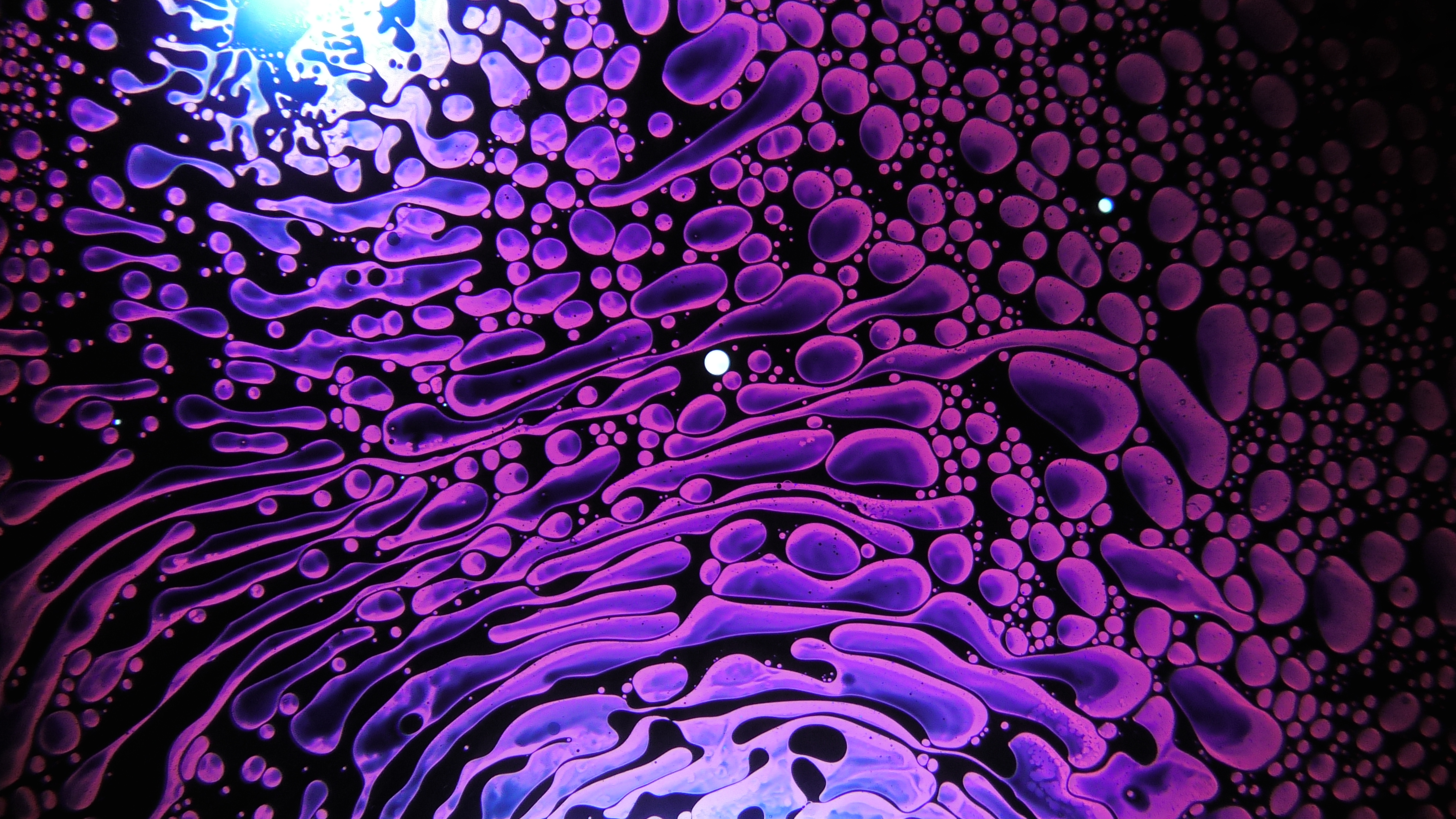 LiquidFidelity Art Print #4