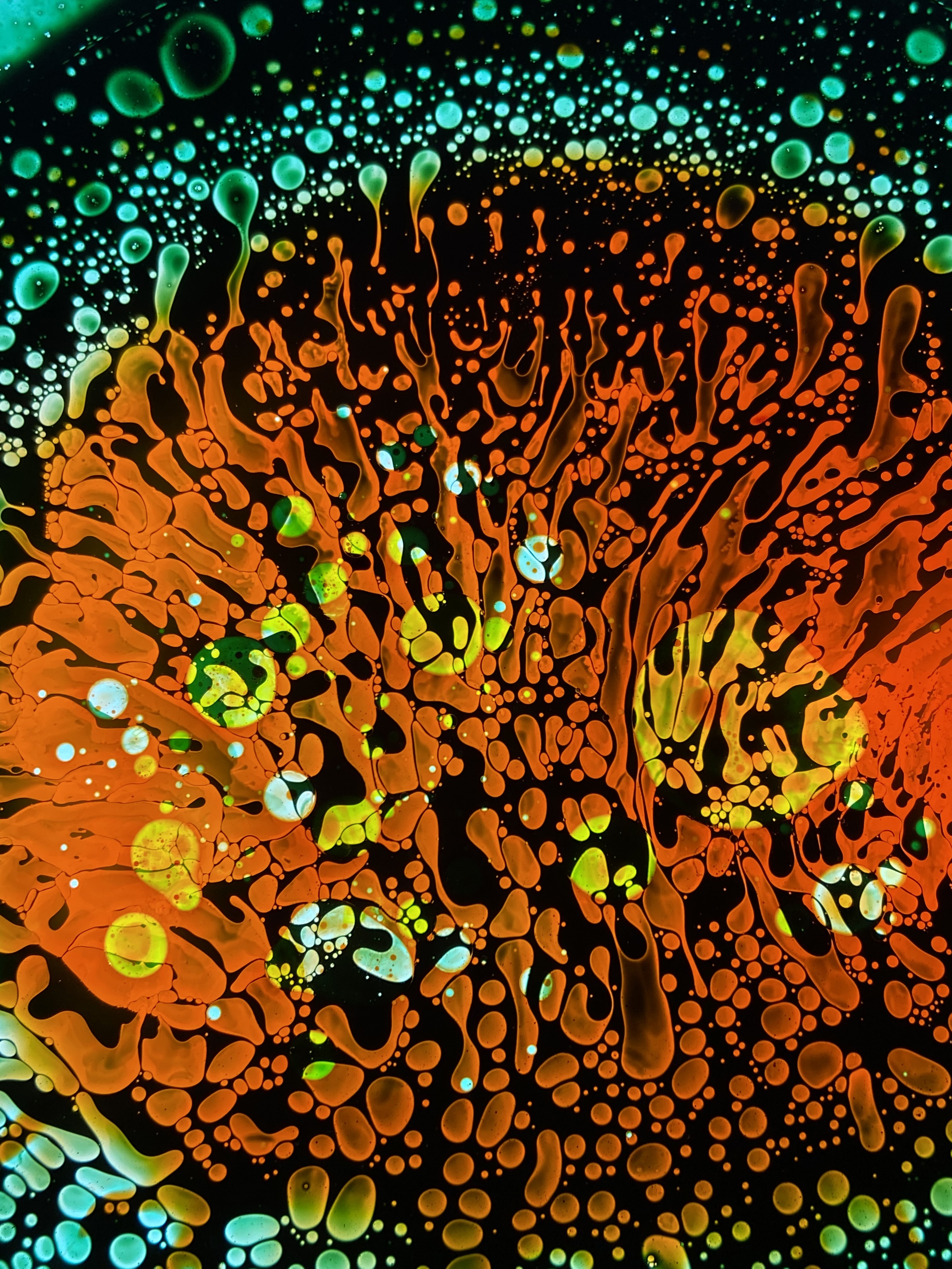 LiquidFidelity Art Print #5